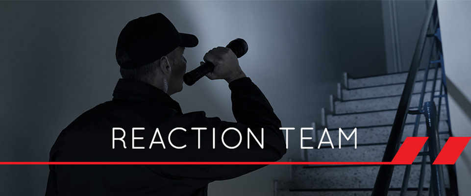 reaction-team-button.jpg